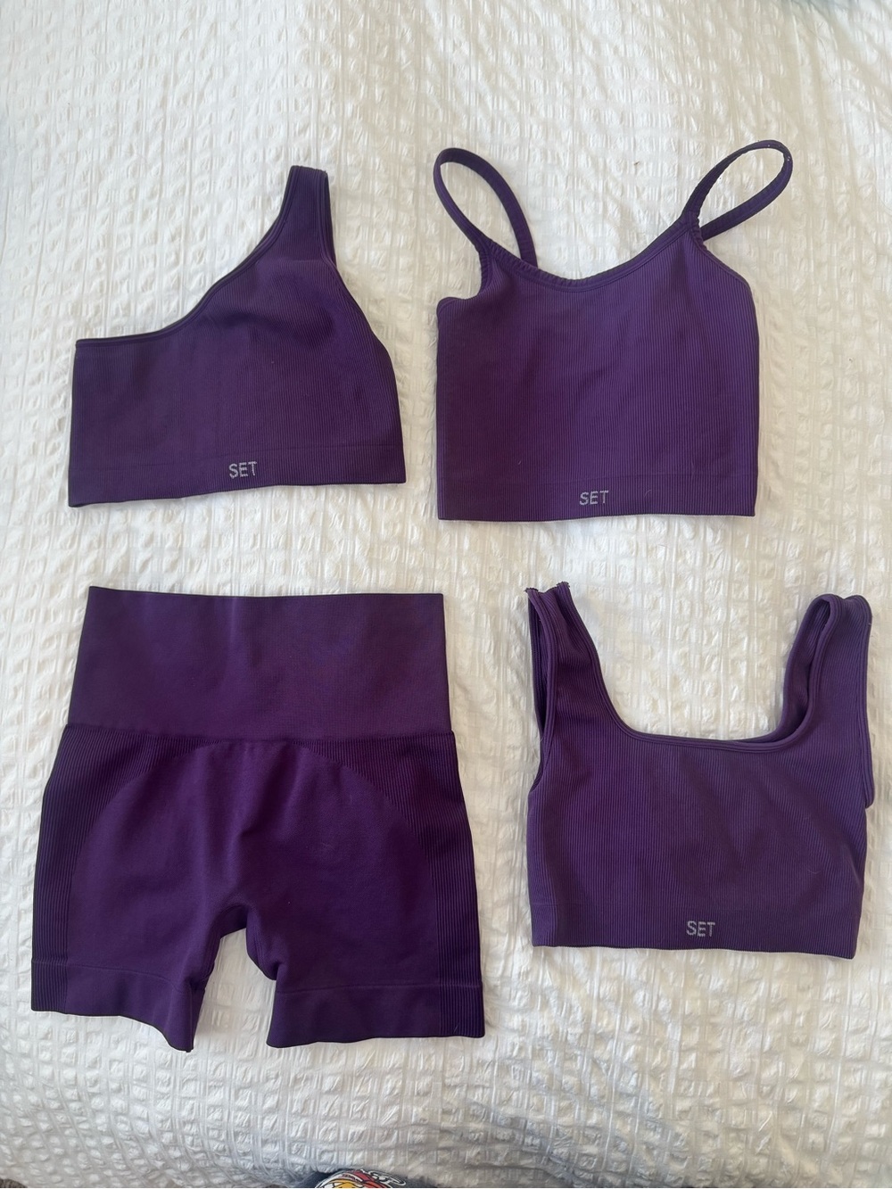 SET Active Seamless Ribbed Plum Crop Tank & Shorts Set